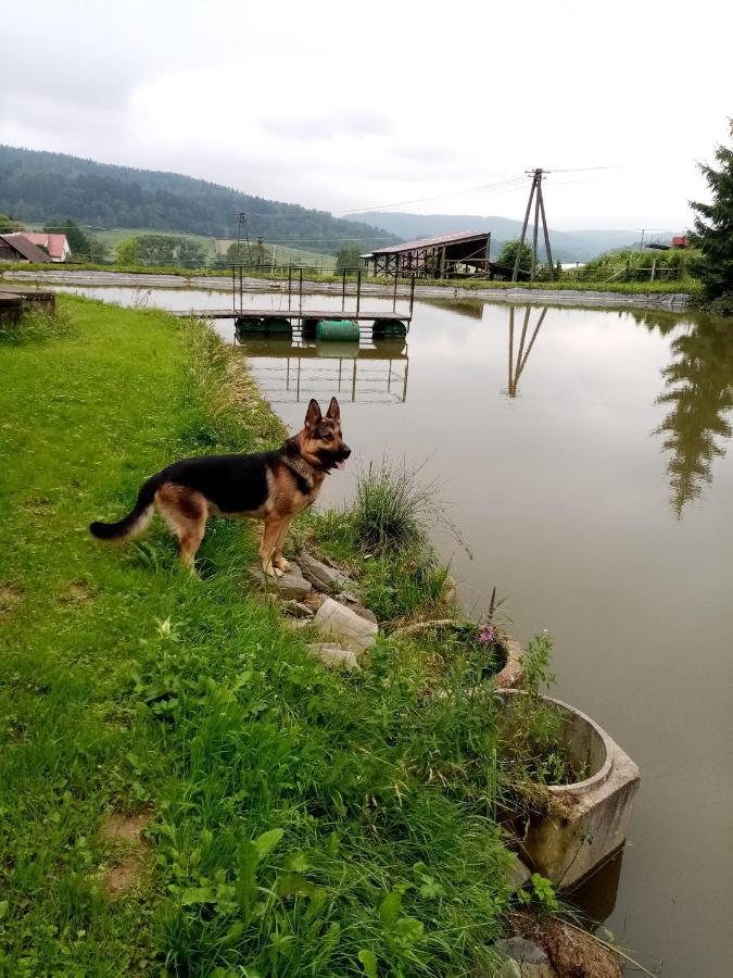 Przy Winogronie Hotel Uherce Mineralne  Exterior foto