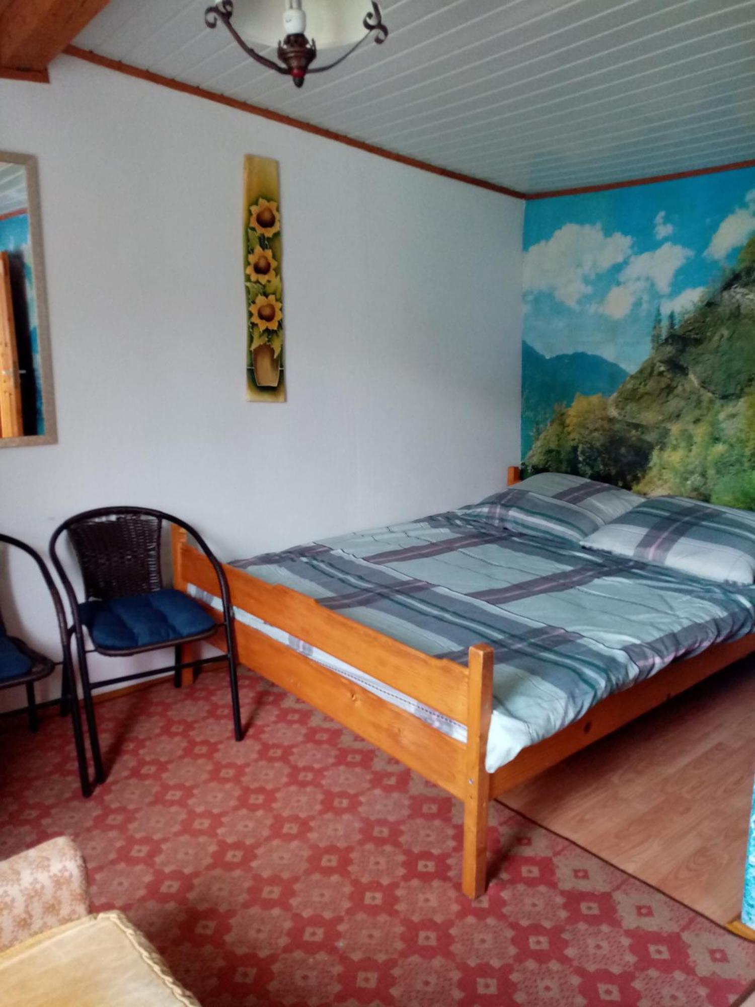 Przy Winogronie Hotel Uherce Mineralne  Quarto foto